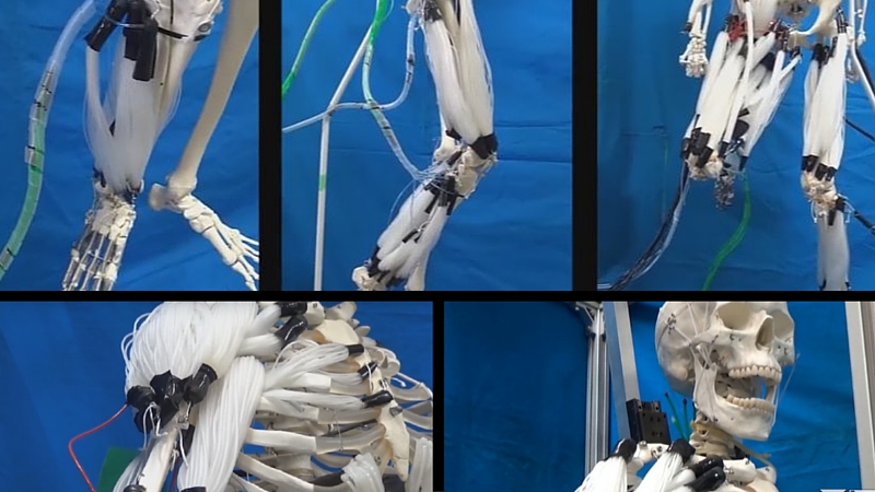 Imagens de Suzumori Endo Robotics do Instituto de Tecnologia de Tóquio