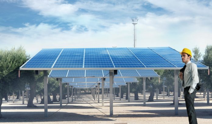 Usinas solares proporcionarão para o Brasil menos impacto para o meio ambiente
